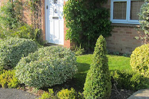 Gardening services in the Tunbridge Wells area